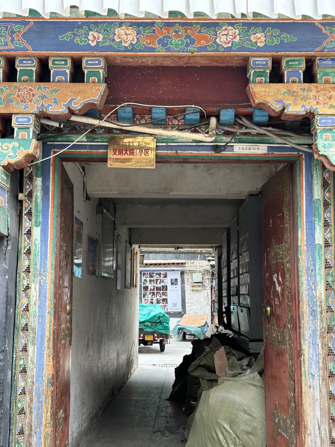 它在拉萨根本没有对手！！！😭😭😭