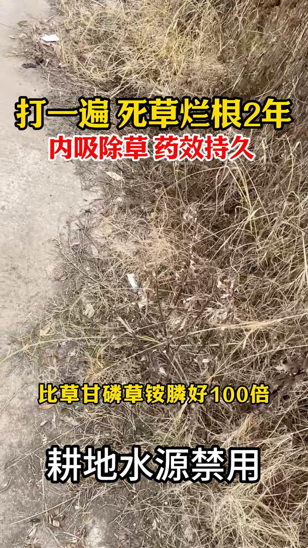 房前屋后公路两旁开荒场区铀矿油矿除草必备神器，用一次持续2年不想长草除草剂甲嘧磺