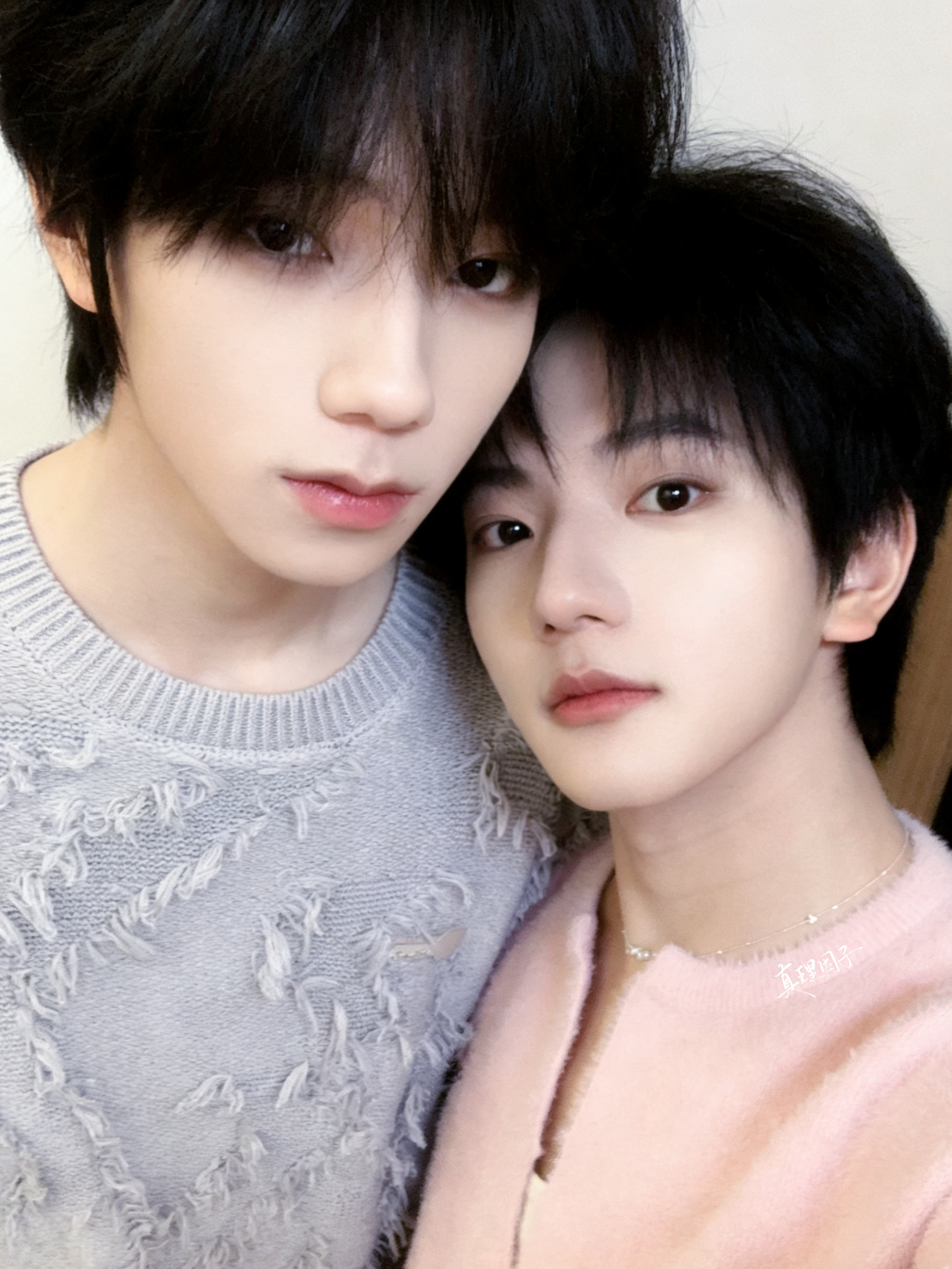 不管了 蓝粉色先举起来 