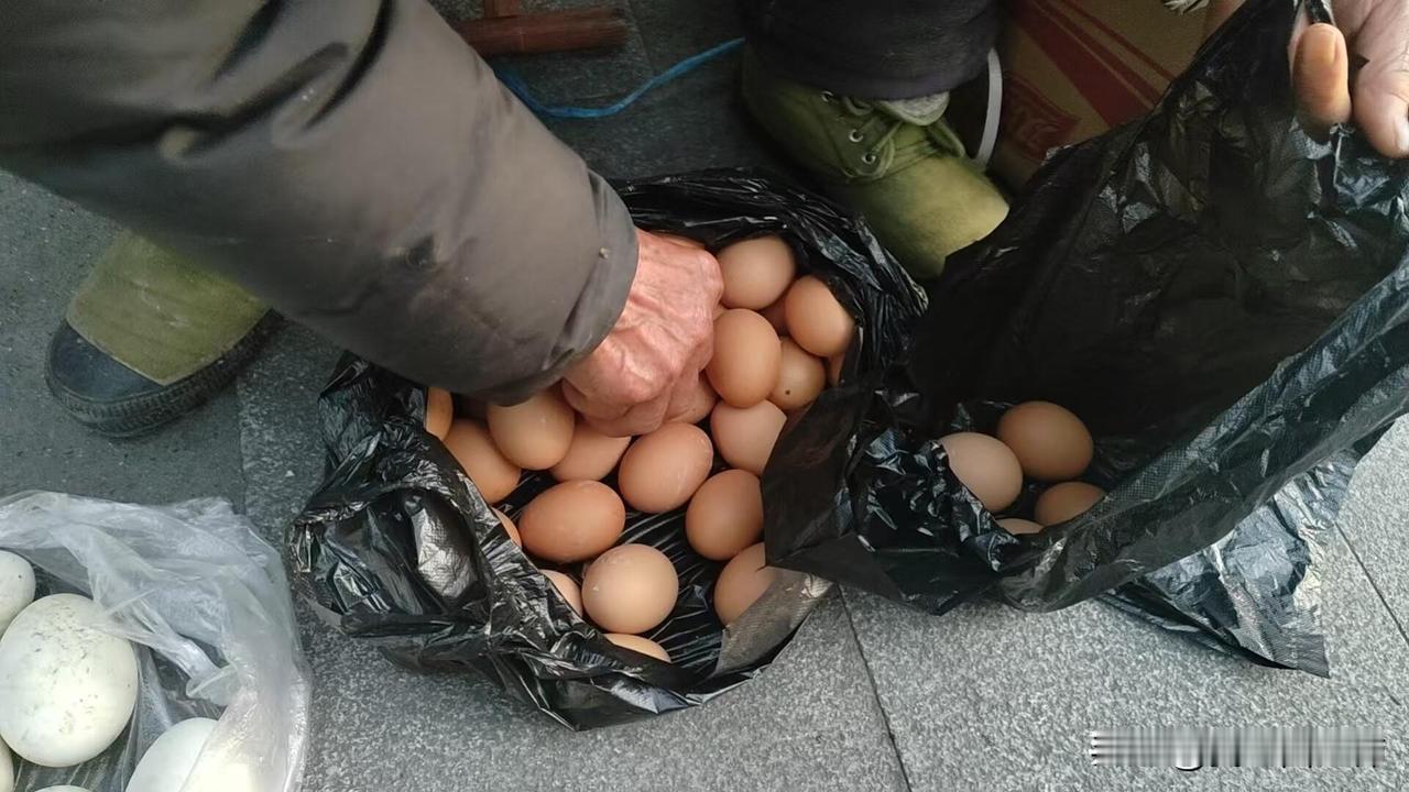 我亲手了结了自己的一桩遗憾
去年十一月份还在上班的时候，偶然发现通勤一路上有一个