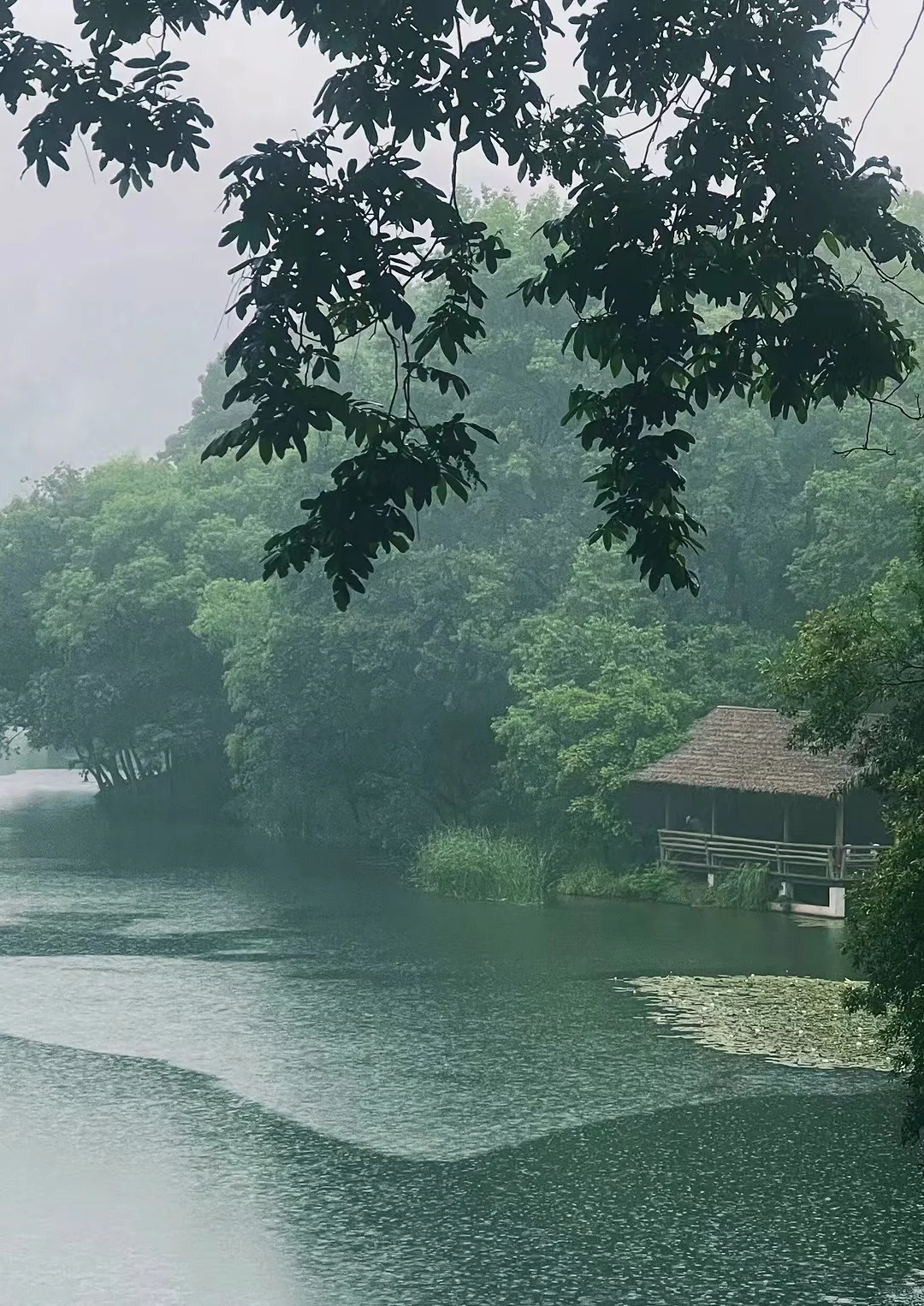 讲个笑话，2021年5月27日同仁堂44.11元，今天收盘是45.56...