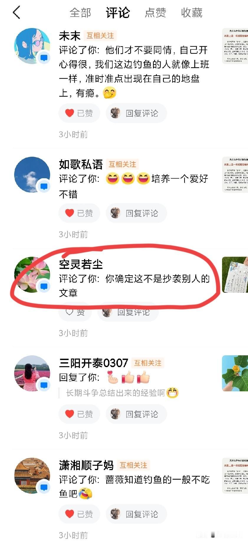 今天抄袭了吗

昨天我写了两个儿子互相寄明信片的事情，很多朋友都在评论区夸奖两个