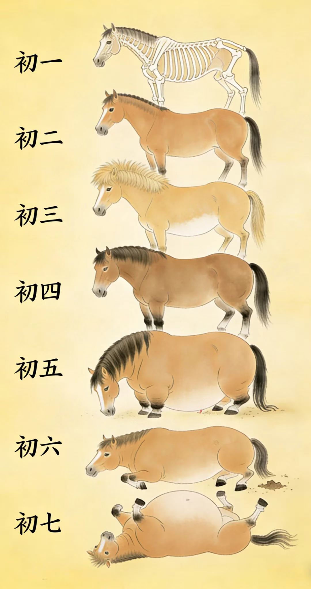 每逢佳节胖三斤，真的应证了！一个春节重了1.4Kg，我也是挣到了。