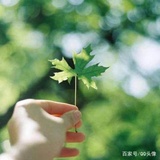 阿麦爱品科技