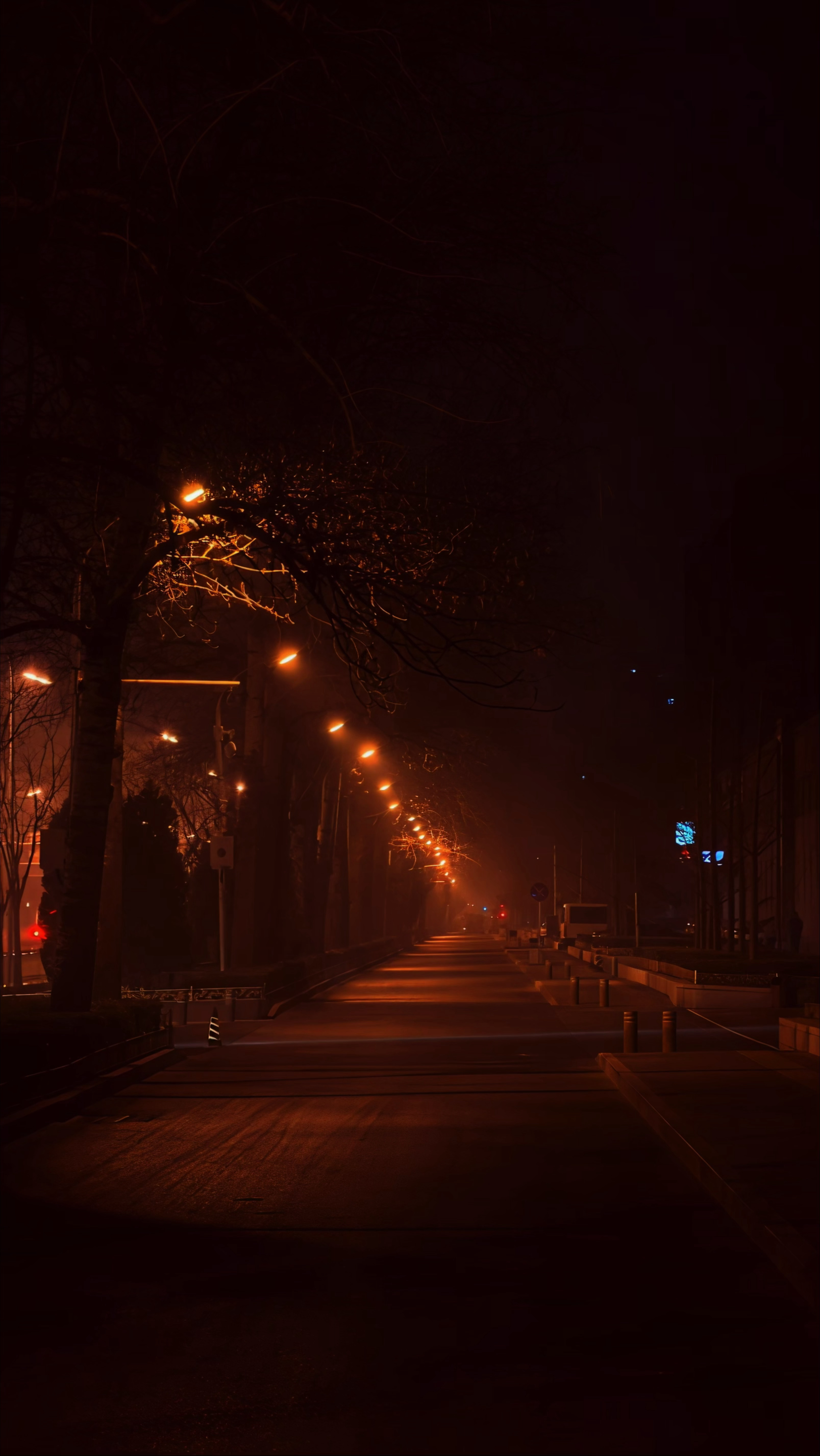 早☀️万物不存在可比！大家力量而行！ 