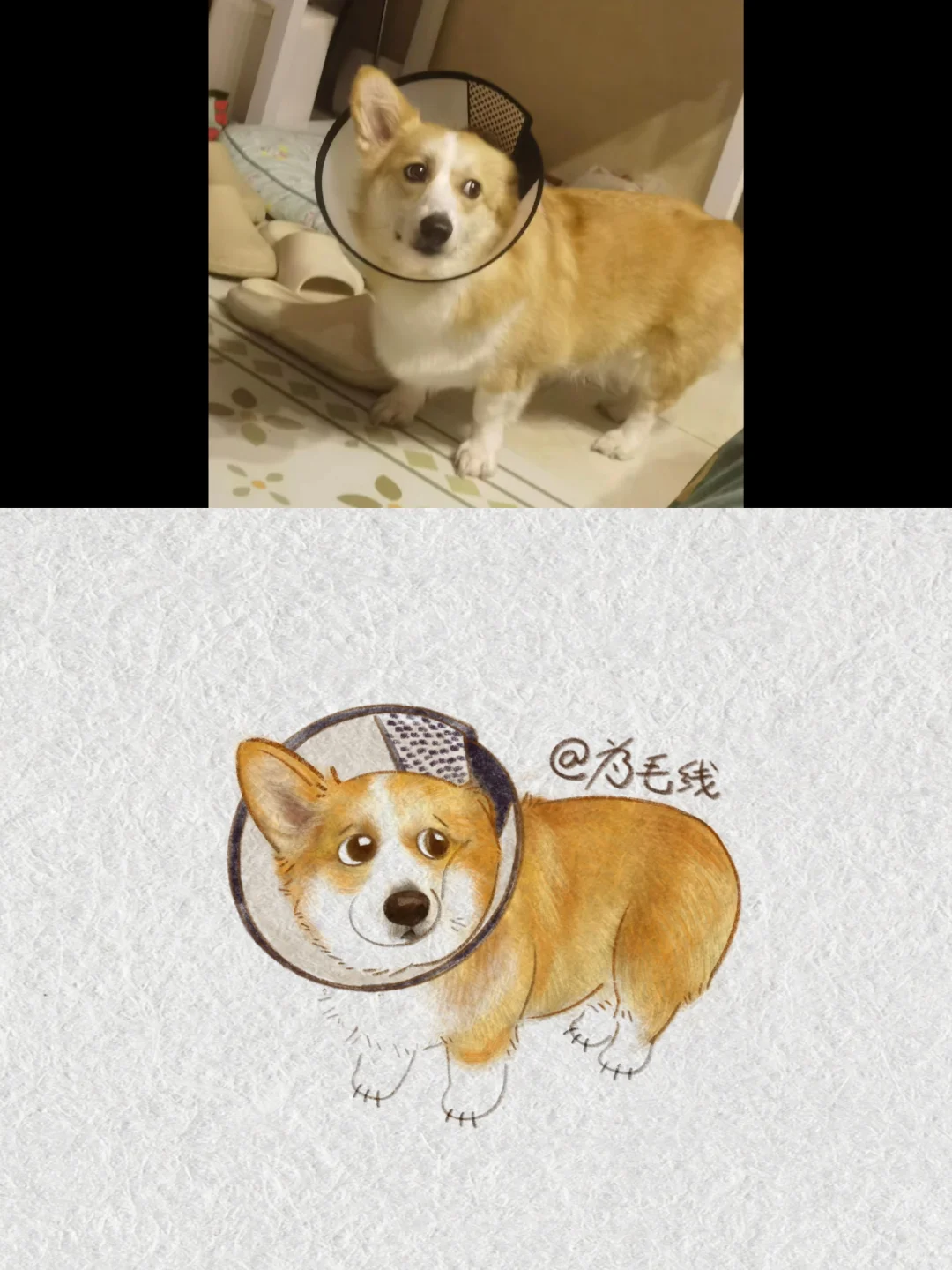 抓修狗｜🍞基：不嘻嘻