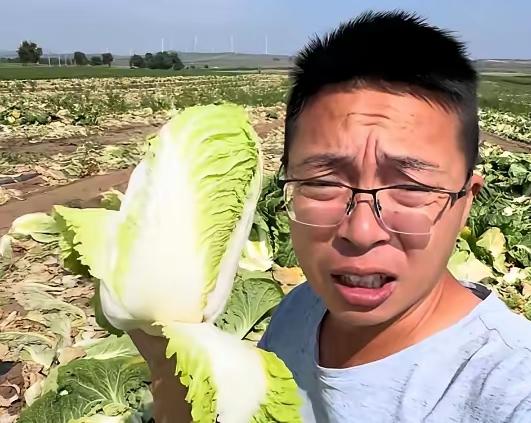 单位同事还有三十天就到预产期，前两天想吃酸辣大白菜，在超市买了三颗，拿回家吃发现
