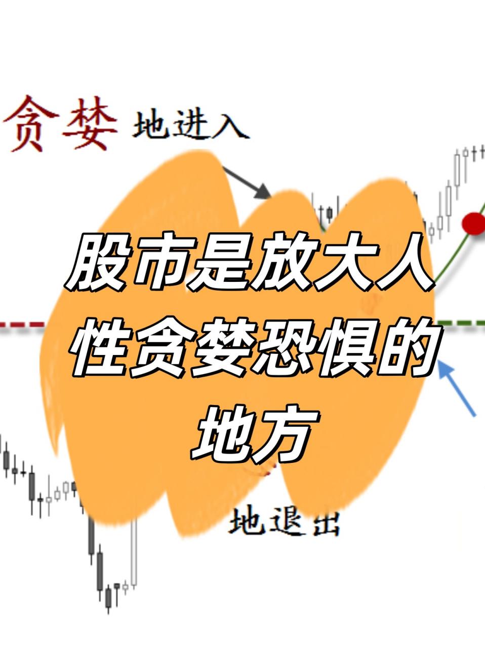 股市是放大人性弱点之地
       2026年上半年，A股散户亏损比例达79%