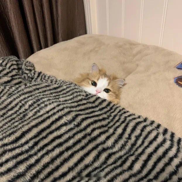 北方人：外头太冷了，进屋里去暖暖南方人：屋里有点冷，出去晒晒太阳 ​​​