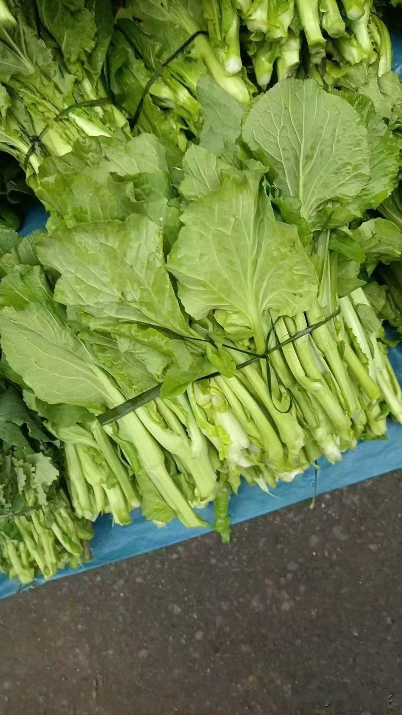 这不都是很好的食材么，为啥会很多店都不会因时因季的调整一下菜单呢？
餐饮老板