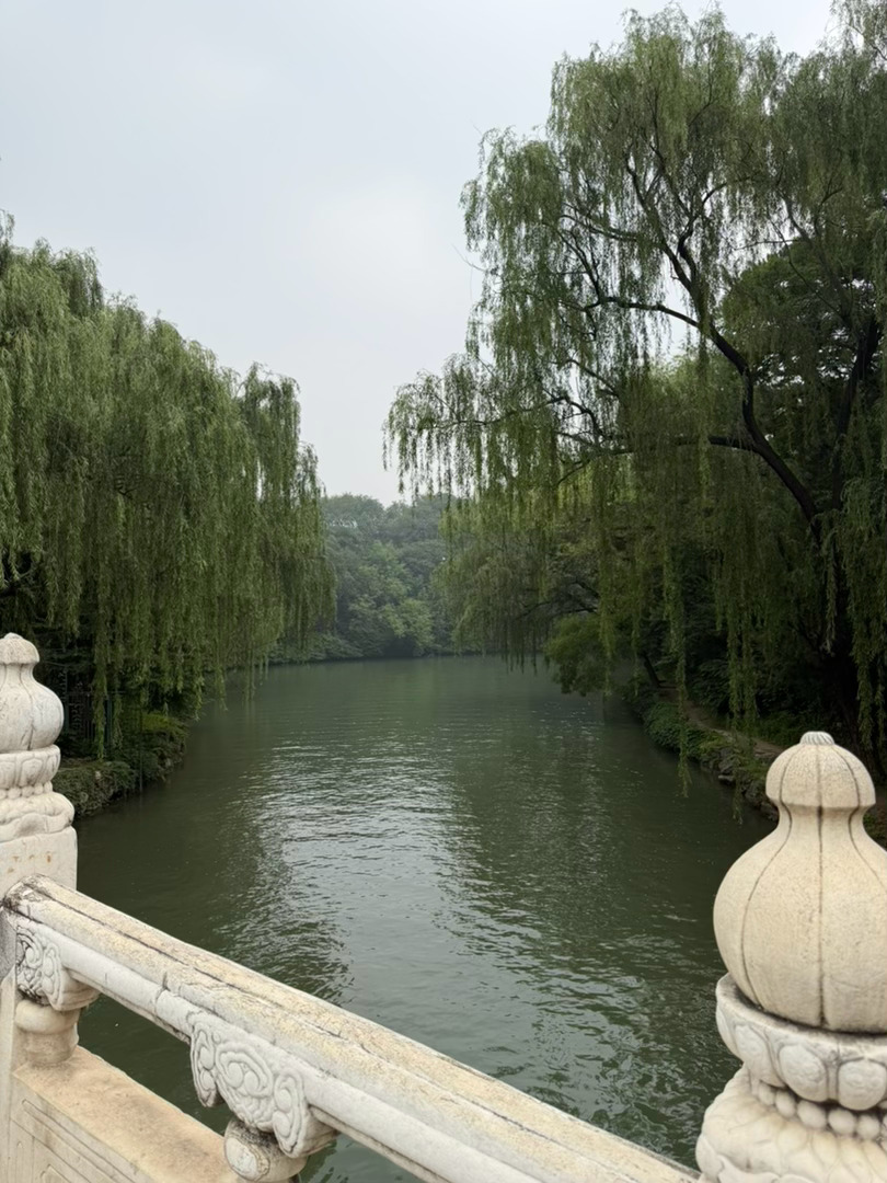 天好阴 