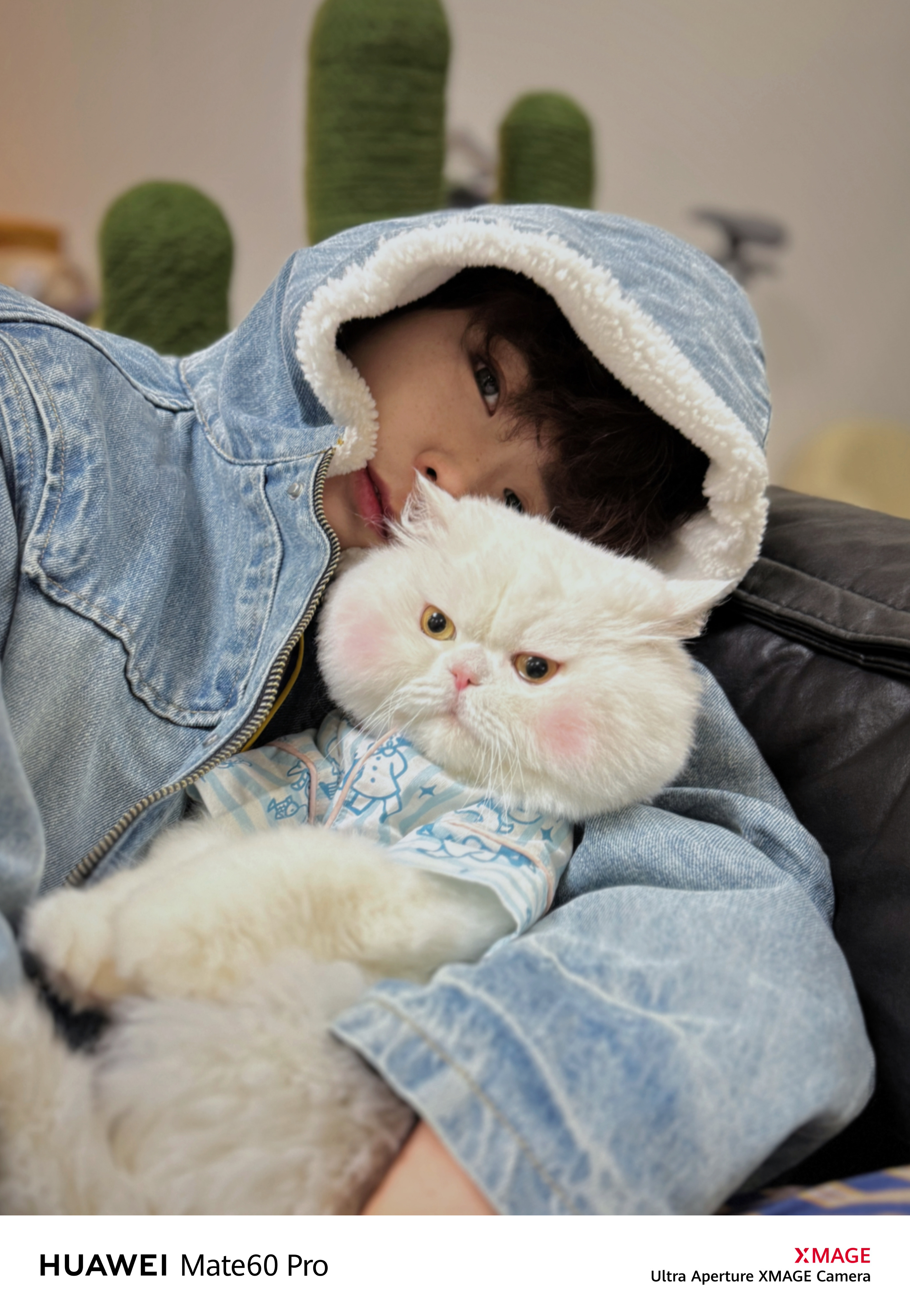 官宣|介绍一下我这位姓猫的男友很多人可能不知道，球球遇见我之前还是一只小流浪，从