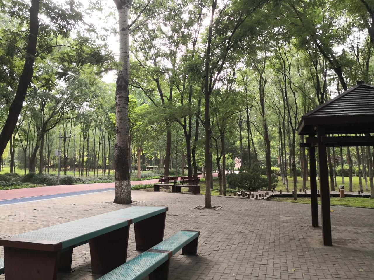 我今天在北京海淀的一个公园里游览，现在是下午4点多钟，公园外赤日炎炎，三十多度高