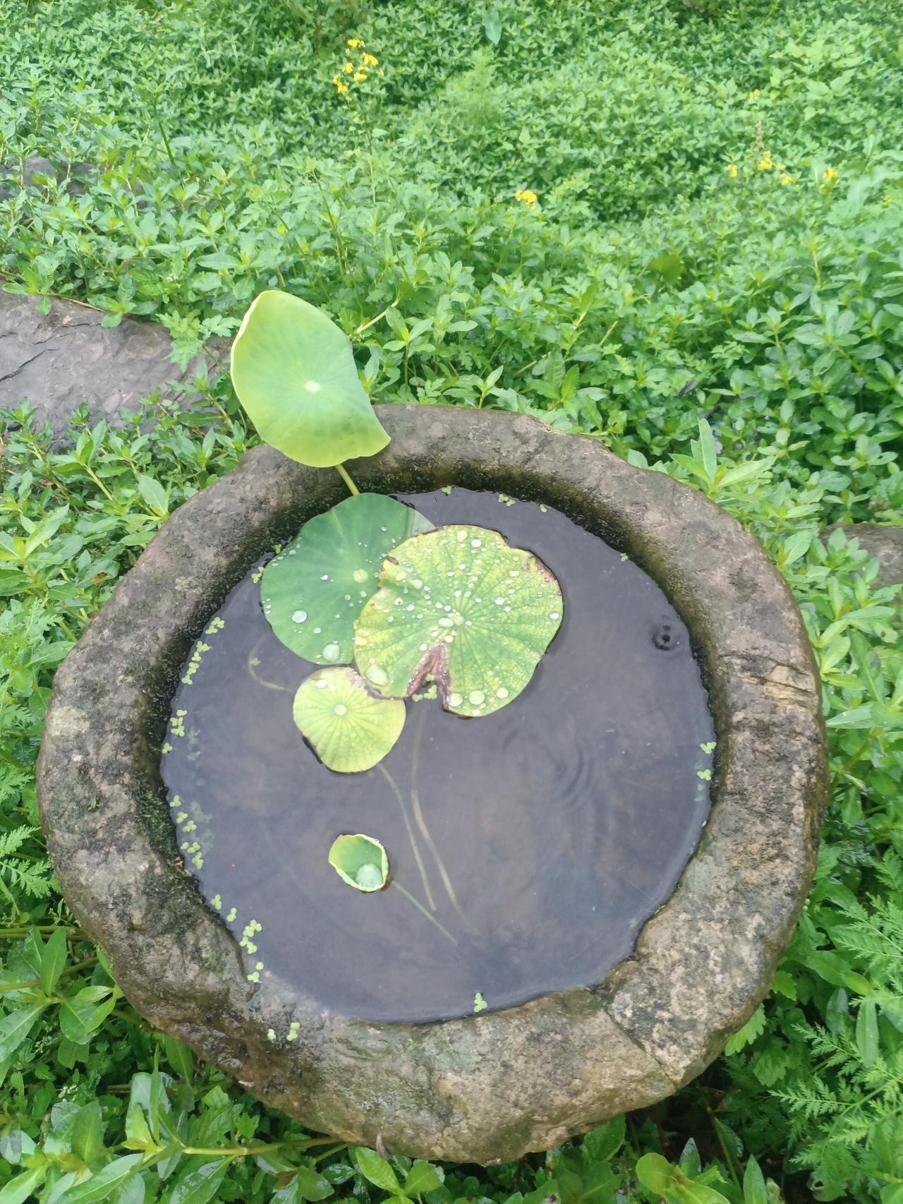 用哪一个词来形容重庆最贴切?重庆是我家，山城美如画！来了就是山城人！