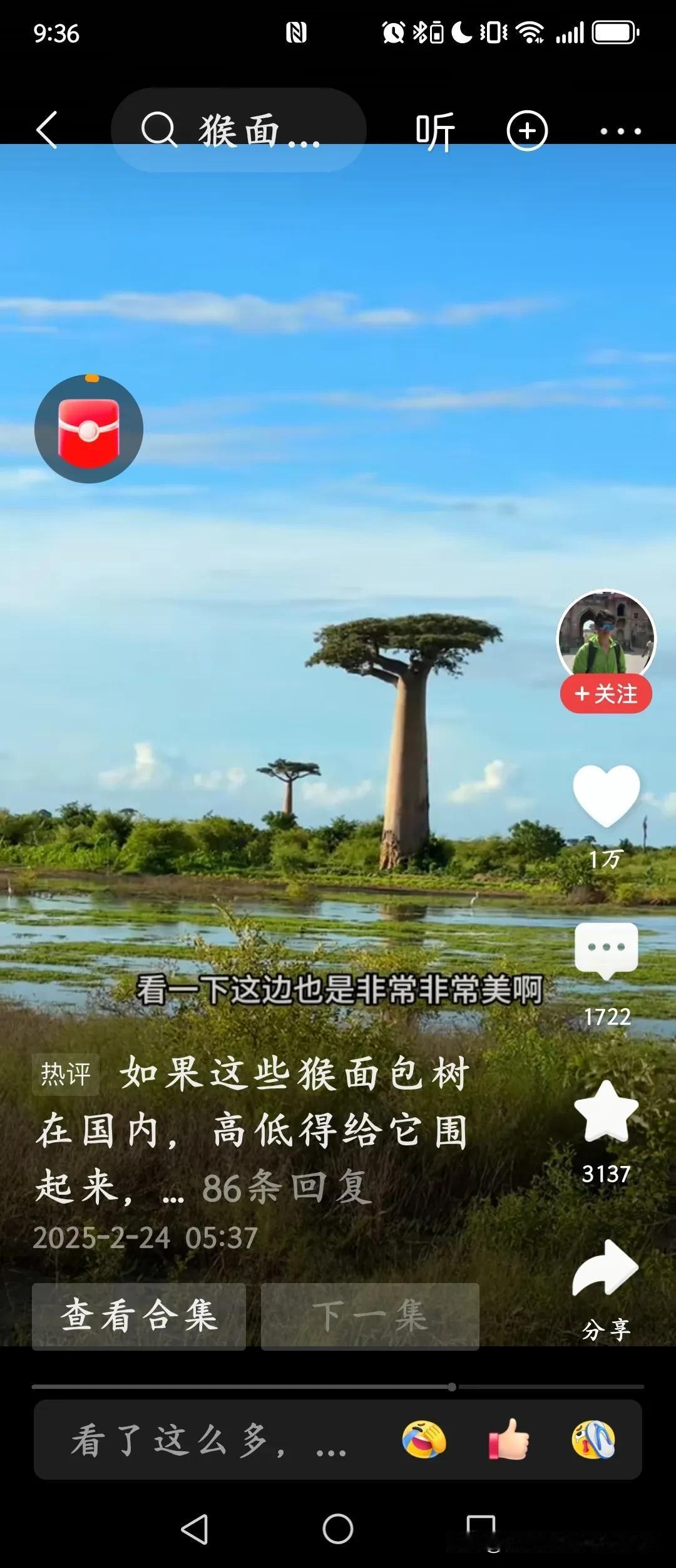 马达加斯加独特的猴面包树
在非洲广袤的大地上，猴面包树静静伫立。粗壮的树干，支撑