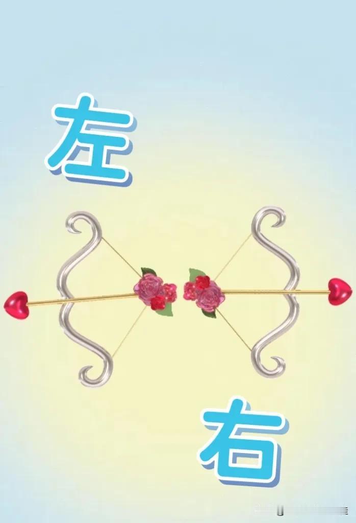 两把弓箭 一个左字和右字，打一成语————
每种图案底下都暗藏着玄机，两种图案➕