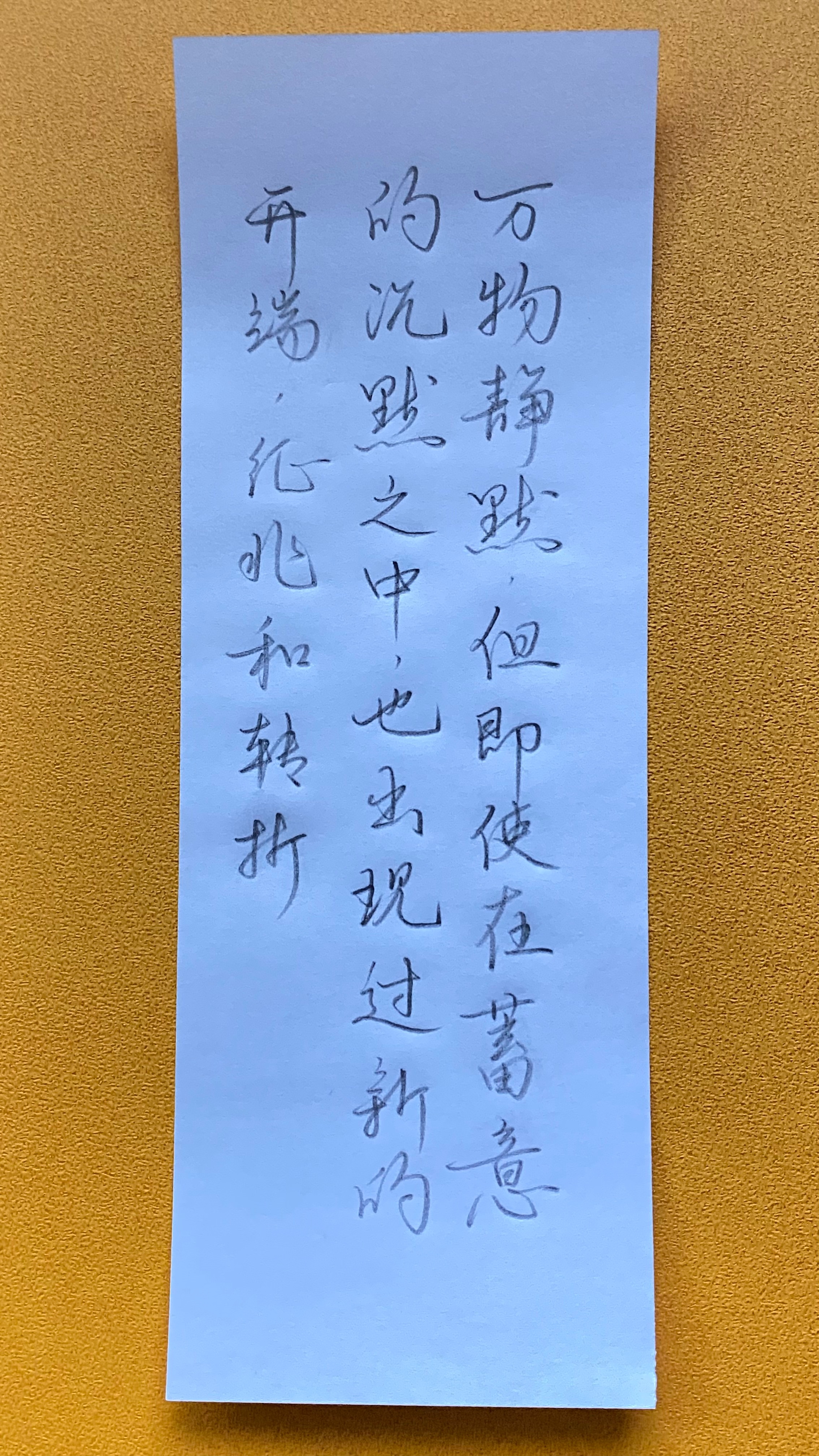 今日作业（2025.1.31）万物静默，但即使在蓄意的沉默之中，也出现过新的开端