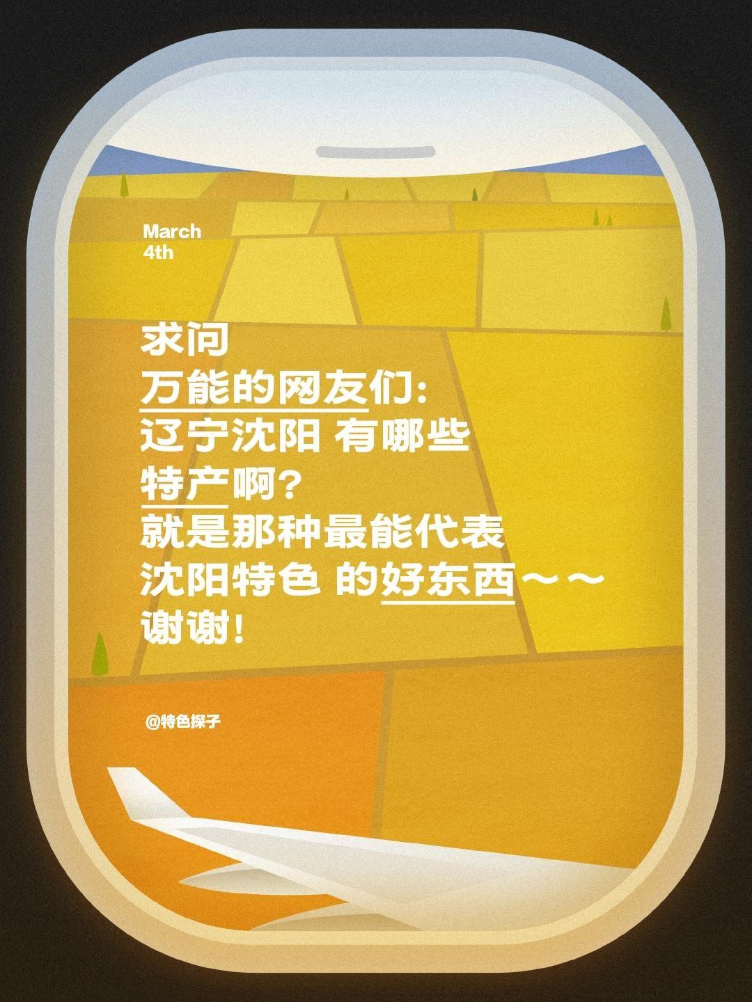 求问！辽宁沈阳到底有哪些正宗特产？
 
家人们，我要寻遍各地特色，现在想深入了解