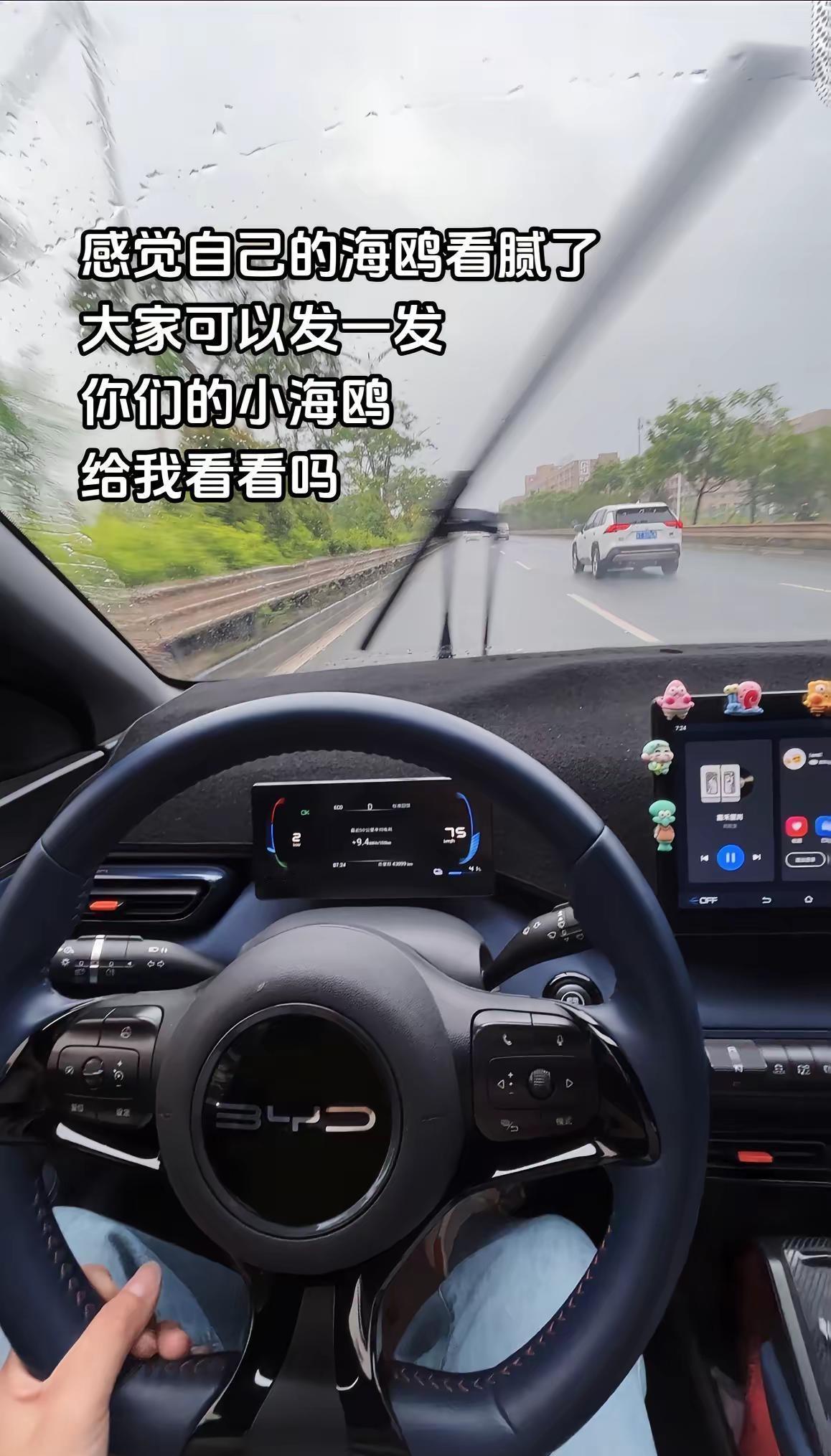 比亚迪海鸥。感觉自己的海鸥看腻了，大家可以发一发，你们手中的小海鸥，我看看吗？比