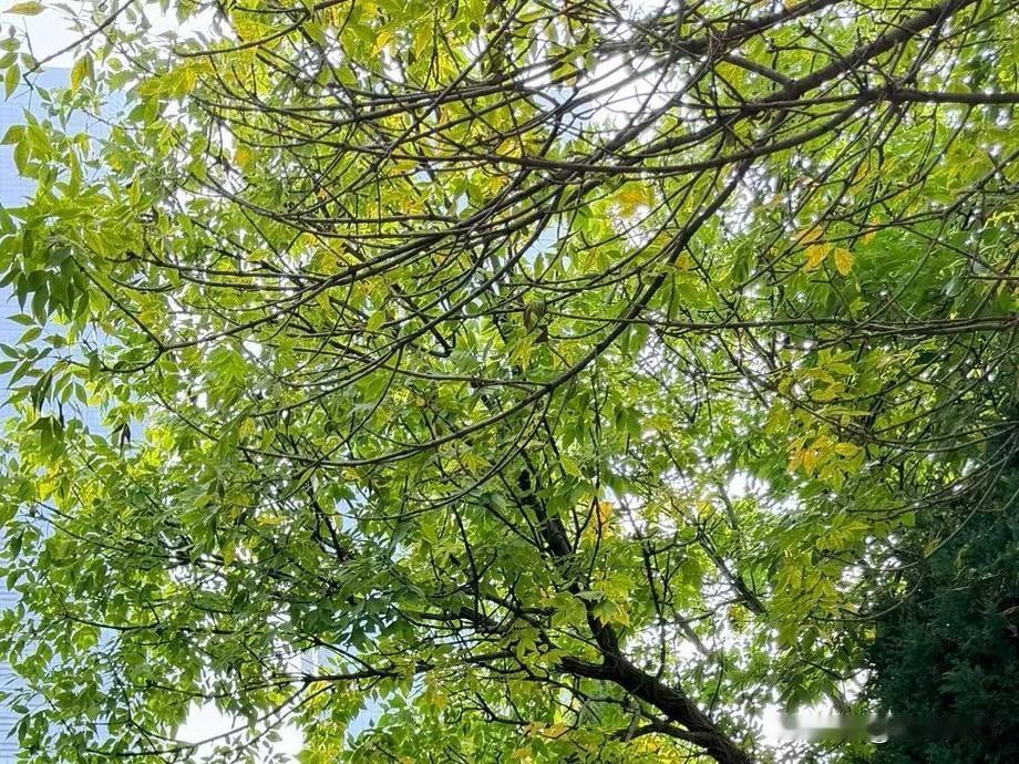 你发现了吗？大多数婆婆认为：“要好好爱自己”，就是舍得为自己花钱，自己想干啥就干