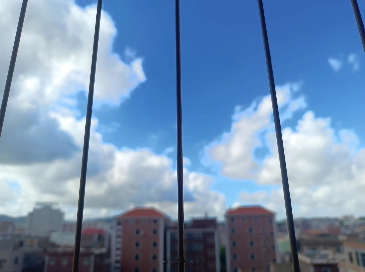 小镇的天空美的无语

云朵  是天空开出的花