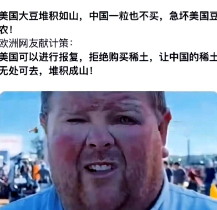 欧洲人给老美出了个主意，中国拒绝进口你们的大豆？
你们也拒绝进口他们的稀土。
韩