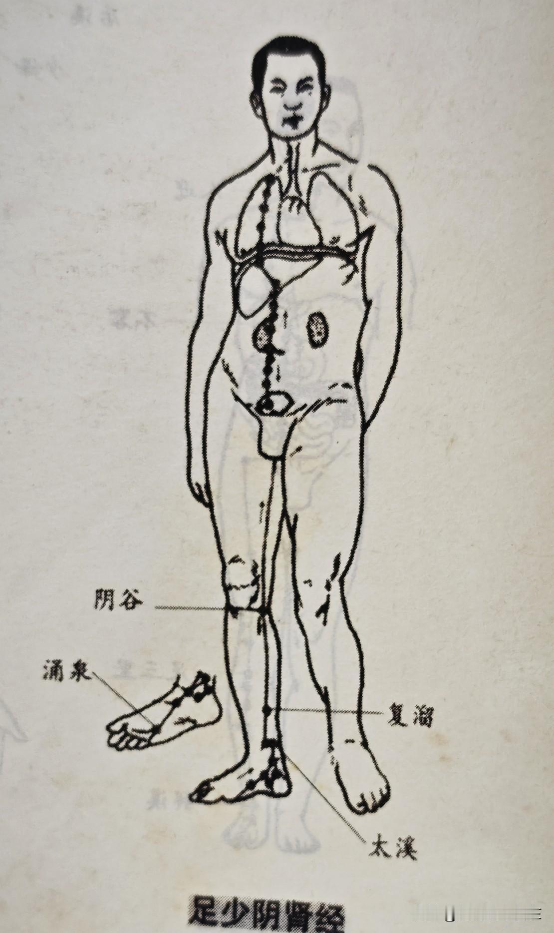 像对待自己的孩子一样对待自己的身体，改变环境就等于从根本上消除了疾病，善待自己的