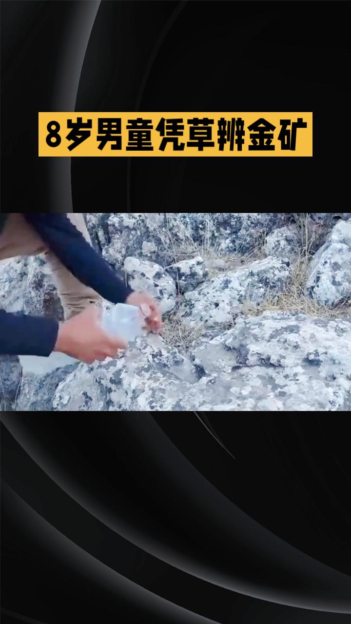 8岁男童凭草辨矿，是天赋异禀还是科普奇迹？
近日，辽宁大连庄河市大营镇一名8岁男