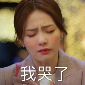 白鹿学历学历没问题，大家只想知道申报程序是否合规。 