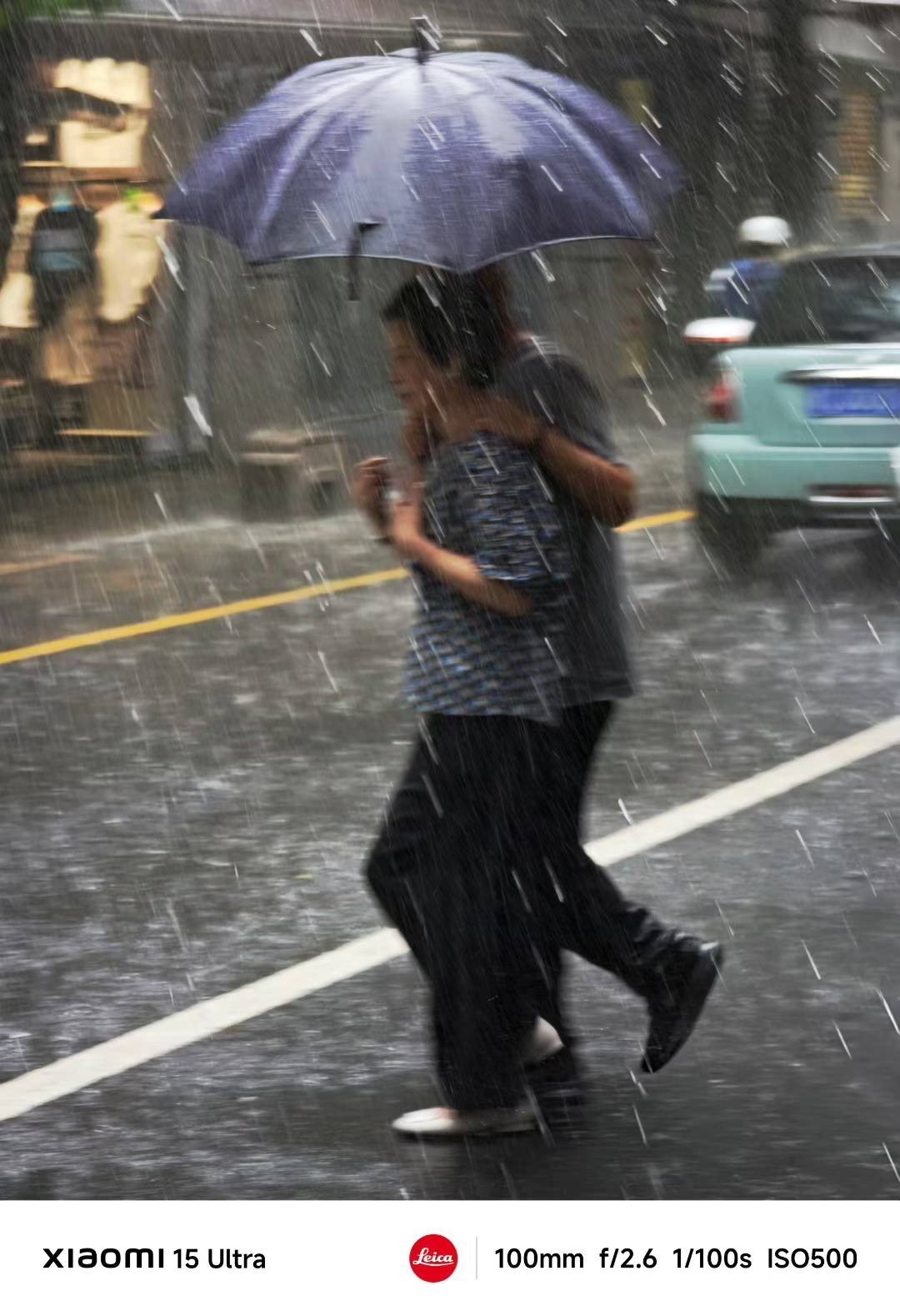 《行走中的爱》:爱从来不分物种，也不挑天气。雨天、伞下、依偎的体温——这些瞬间被