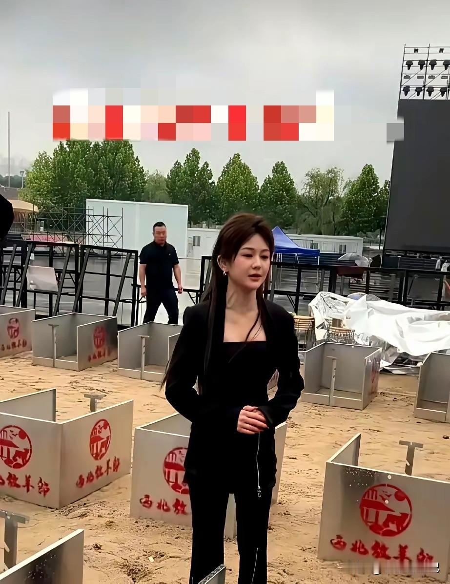西安未央湖游乐园计划举办烤全羊活动，结果粉丝太多，容纳不下取消了，花姐为了不硬顶