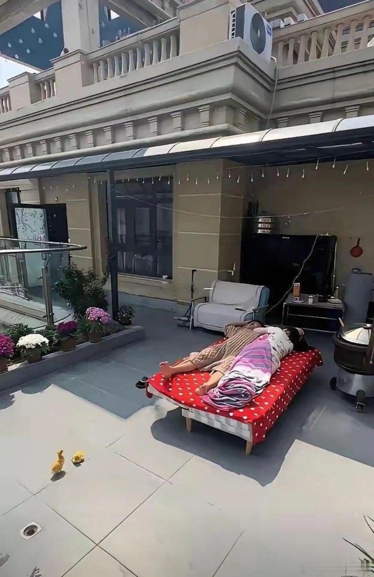 自家有大院子就是不一样