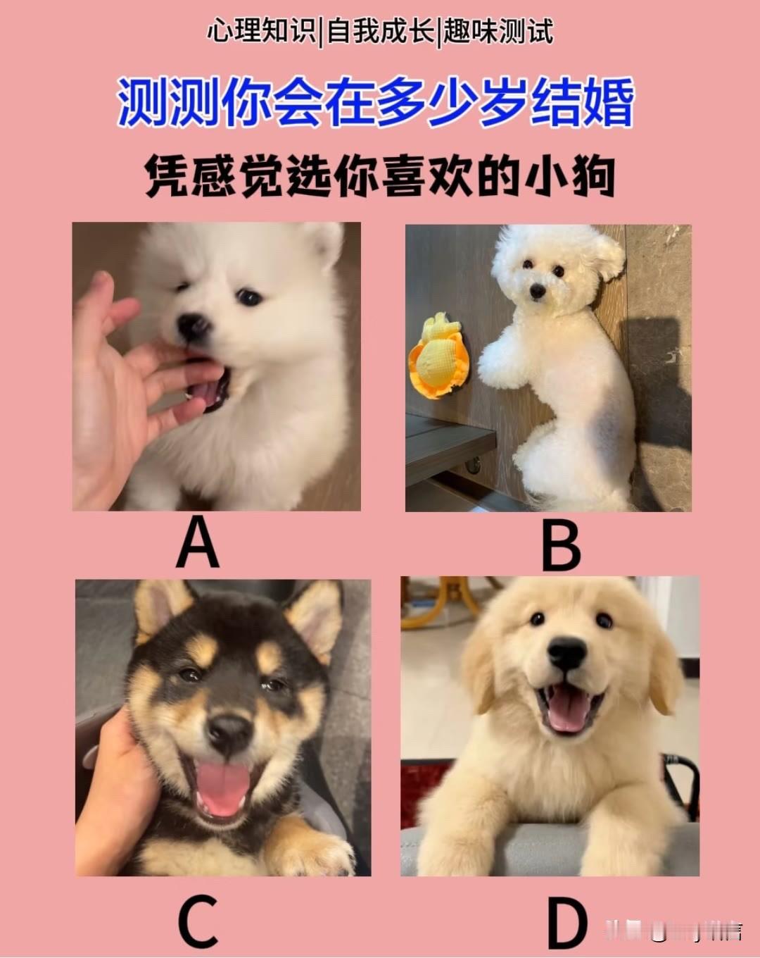 启境首批搭载乾崑智驾ADS5测测你会在多少岁结婚凭感觉选你喜欢的小狗