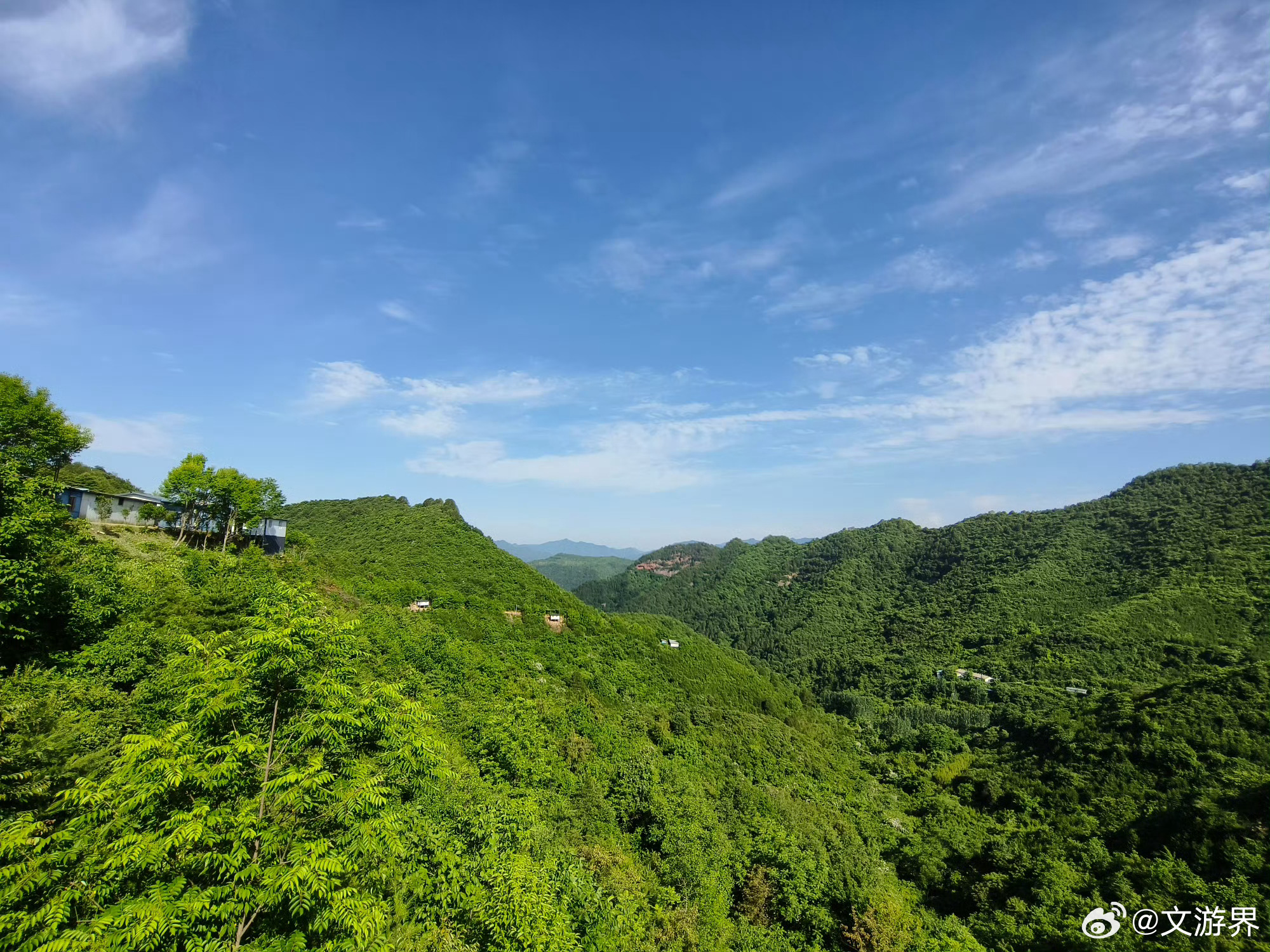 甘肃两当林草鸡生态养殖【从一村到全乡，绿色养殖成集群效应】 金洞乡以桦林村为样板