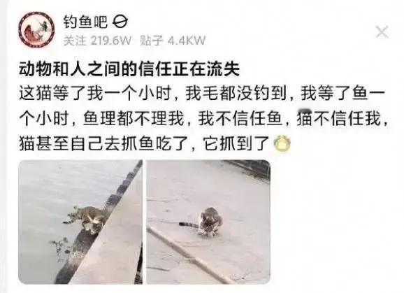 哈哈哈哈