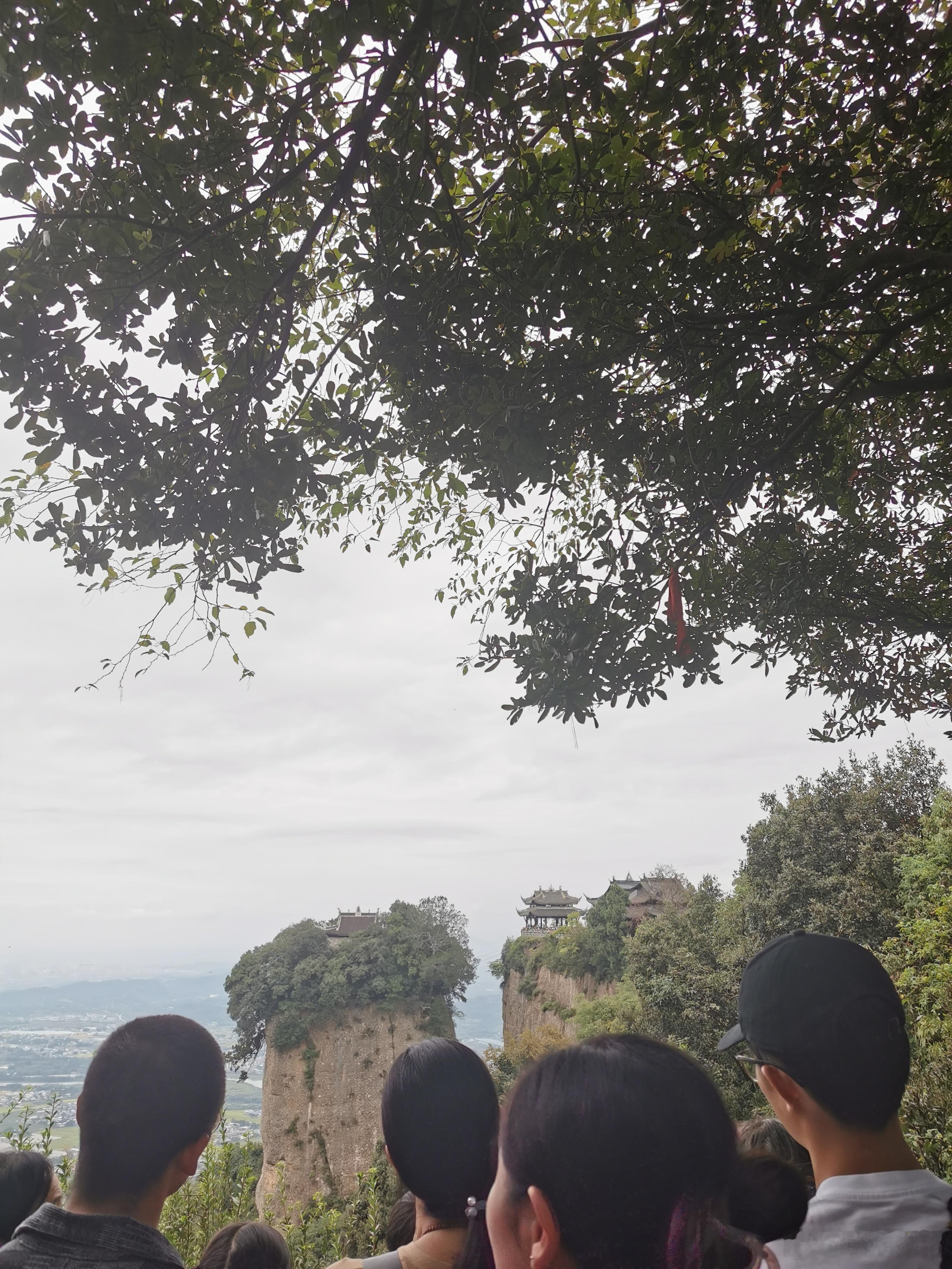中庸之道：前两年把医院，高校这种单位，“唯学历，唯论文”。网上狠狠批了一顿。我也
