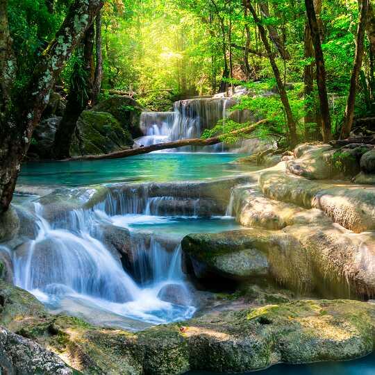 狼与羊，也可温柔相望
 
狼有狼的旷野，羊有羊的青草，
本是天敌，却并非只能厮杀