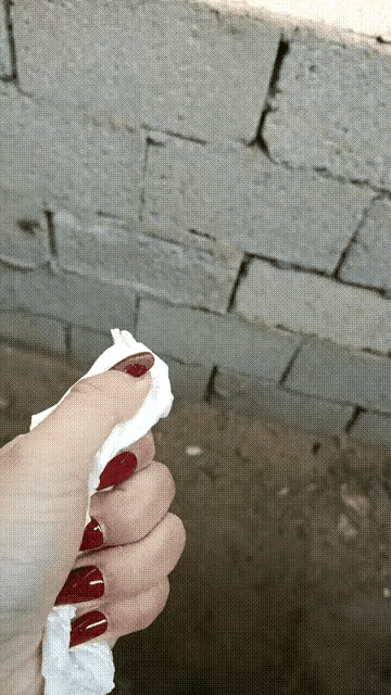这群毛驴成精了[大笑][大笑][大笑][大笑]