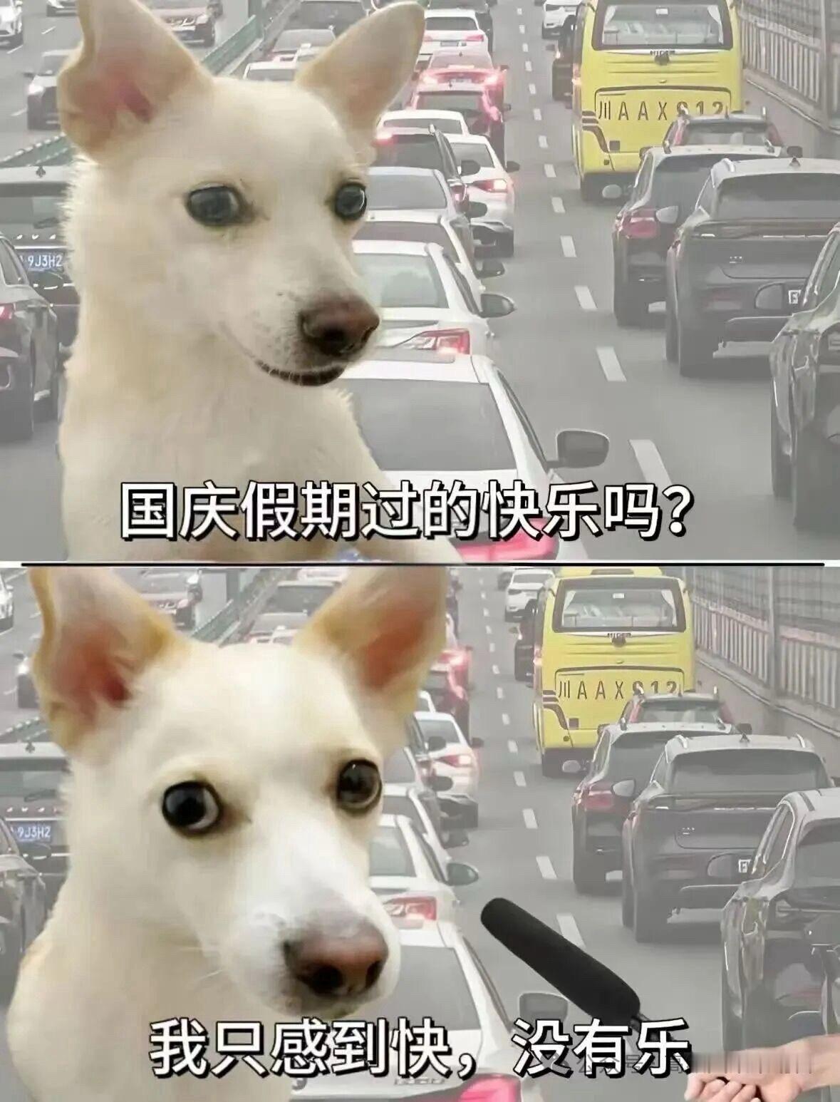 对，国庆假期过的快乐吗？ ​​​