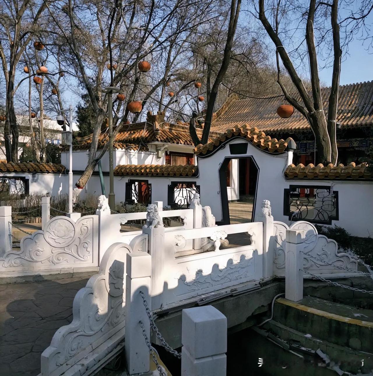 今年冬天的不同要说今年冬天有啥不一样，那最明显的就是现在的银川。明明都已经立春了