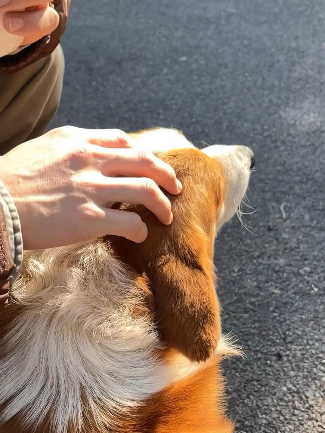 黄俊捷给你发来一组明信片，又分享美景给粉丝了！日常报备的乖偶像一枚！ 