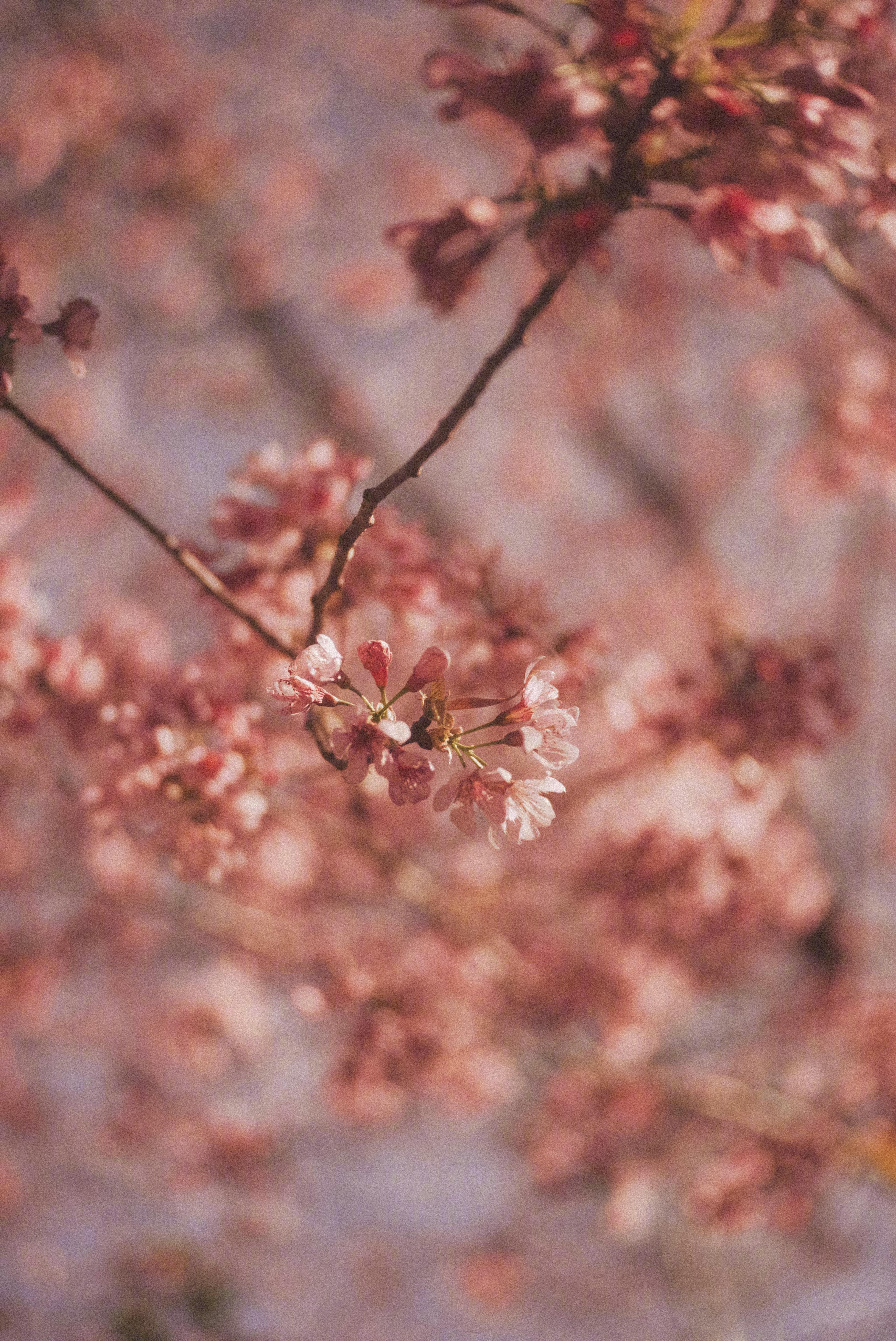 取悦他人永远比不上取悦你自己。——卢思浩《愿有人陪你颠沛流离》