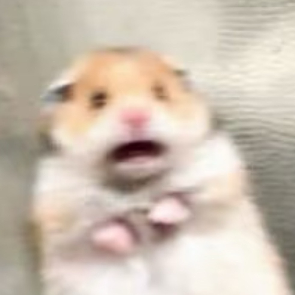 吓得一颤😨 