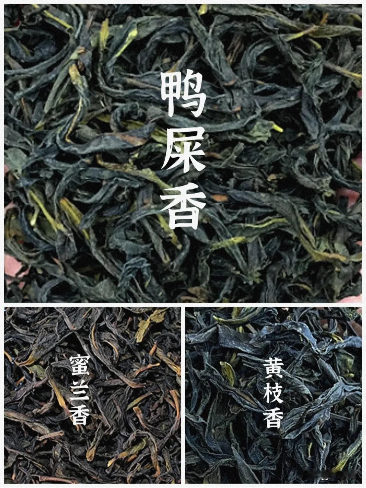 凤凰单丛是指凤凰水仙品种里面的单一品种制成的乌龙茶，简称凤凰单丛，也就是说我们喝