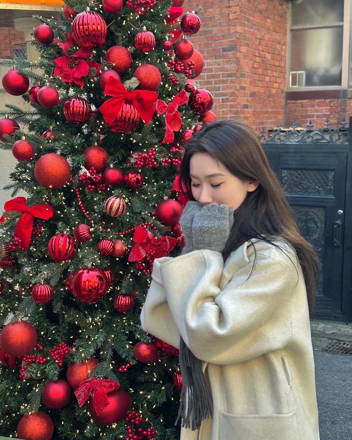 平平安安的2024🎄圣诞节快乐
