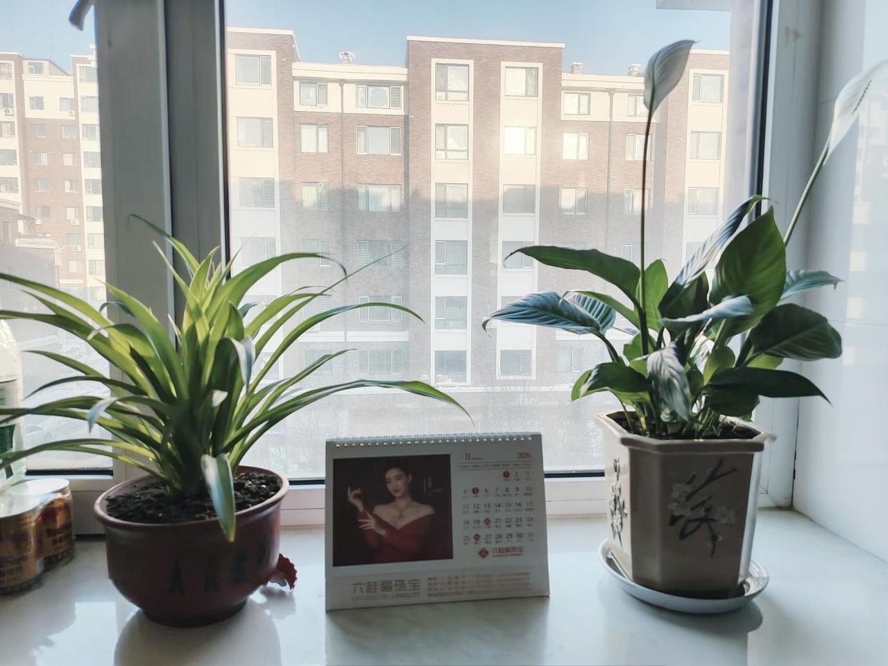 朋友的老公竟然当然媳妇的面和小三这样……

朋友的老公就是一个包工头，45岁人也