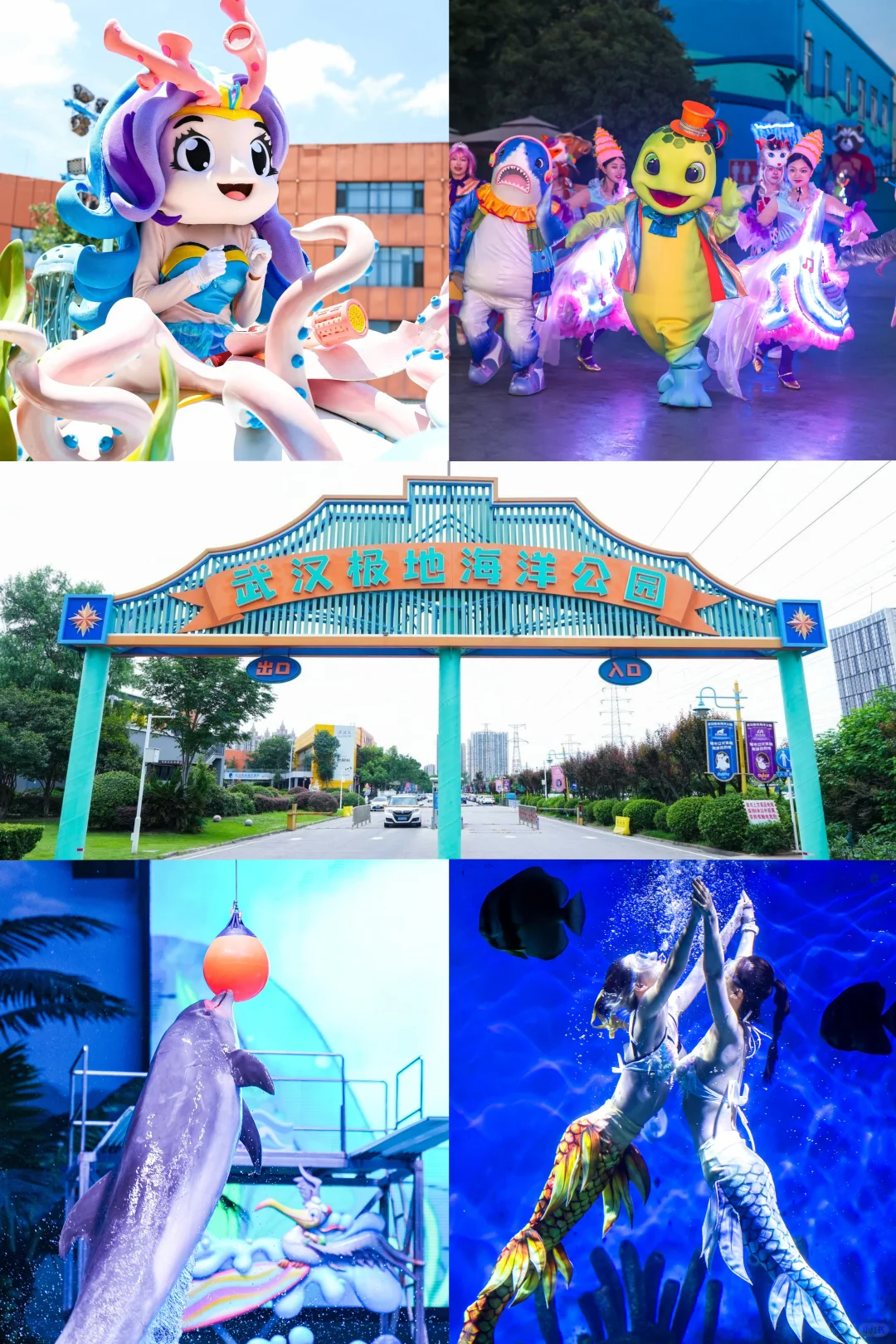 武汉极地海洋公园🐬夏日亲子欢乐之旅🌊