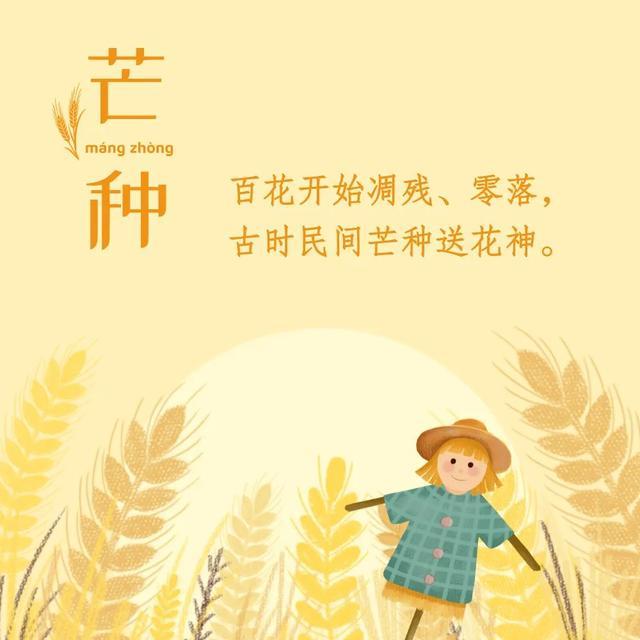 “白天芒种，热死老牛；晚上芒种，六月穿袄”，今年芒种在几点？
 
昨天傍晚去村口
