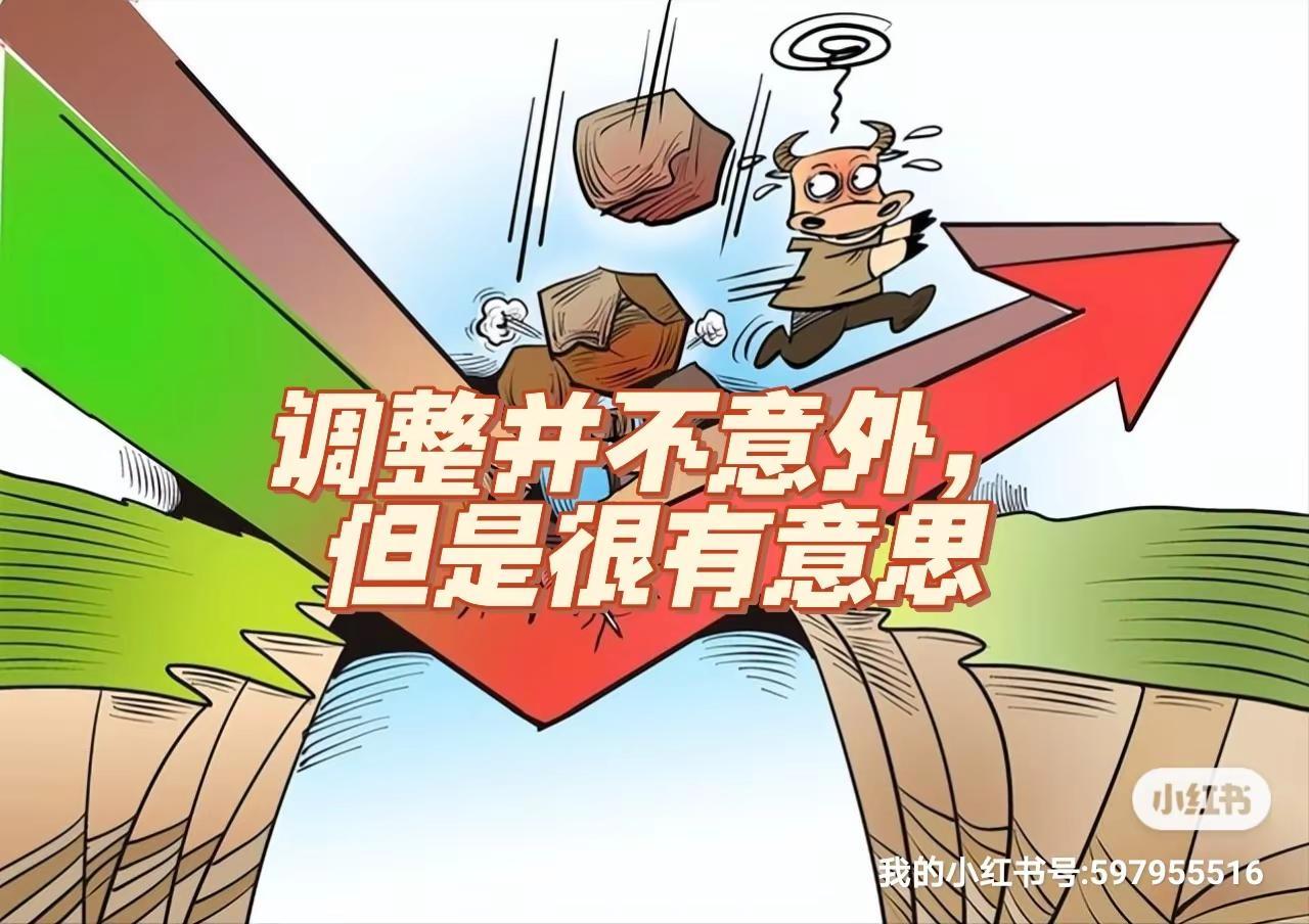 调整并不意外，而且很有意思！ 连续大涨、普涨两天后，今天按计划进入震荡整理走势。