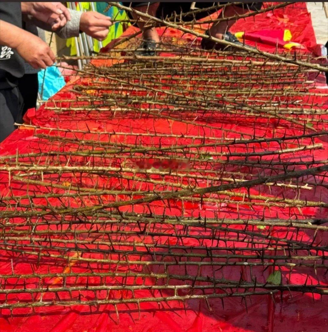 这种文化糟粕，为啥没有被剔除？ 